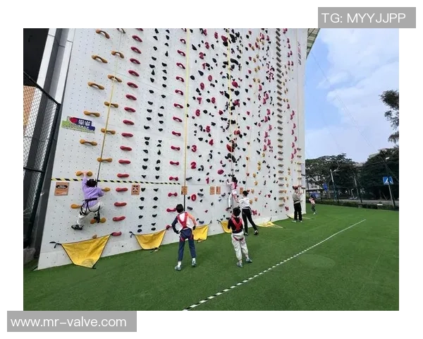运动数据南京攀岩队整体压制革新探索与实践的深度剖析与启示